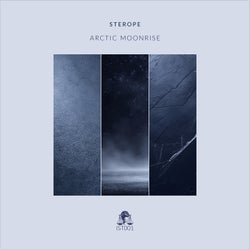 Portada de Arctic Moonrise
