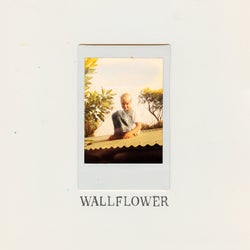 Wallflower