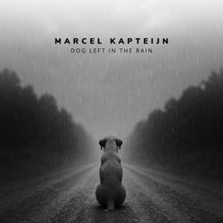 Dog Left In The Rain