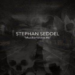 STEPHAN SEDDEL - MUSIKERLEBNIS #6