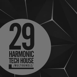 29 Harmonic Tech House Multibundle