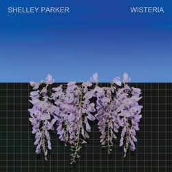 Wisteria