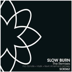 Slow Burn - The Remixes