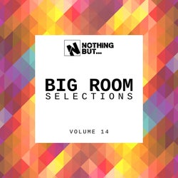Nothing But... Big Room Selections, Vol. 14