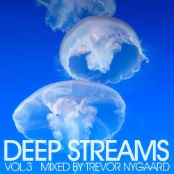Deep Streams Vol.3