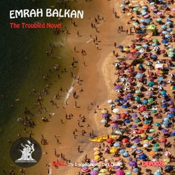The Troubled Novel