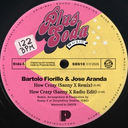 How Crazy (Sanny X Remix)