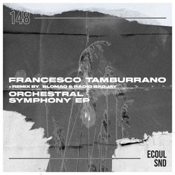 Orchestral Symphony