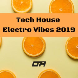 Tech House Electro Vibes 2019