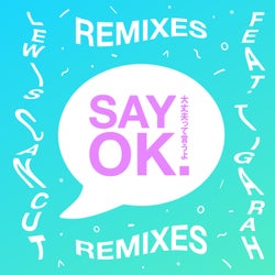 Say OK (Remixes)