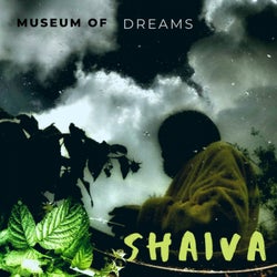Museum Of Dreams