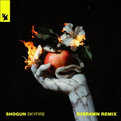 Skyfire - R3SPAWN Remix