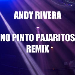 No Pinto Pajaritos (Extended Mix)