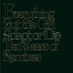 Adapt Or Die: 10 Years Of Remixes