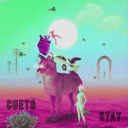 STAY