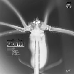Dark Flesh EP