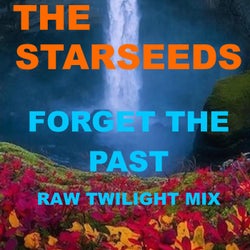 Forget The Past (Raw Twilight Mix)