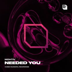 Needed You (Extended Mix)