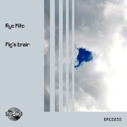 Pig's Brain