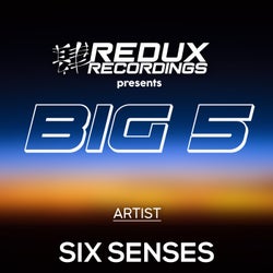 Redux Big 5 of Six Senses
