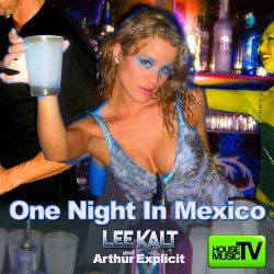 One Night In Mexico