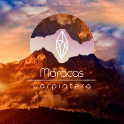 Maracas