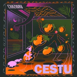 Cestu