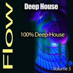 Deep-House Flow, Pt. 3 (100%% Deep-House)