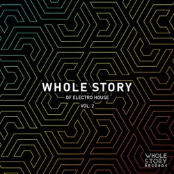 Whole Story Of Electro House Vol. 2