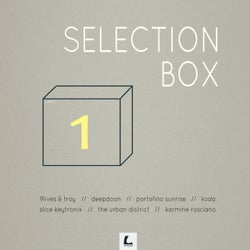 Selection Box 1
