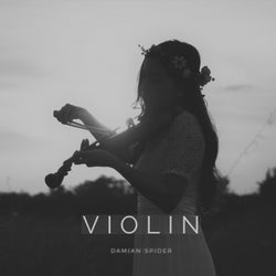 Violin