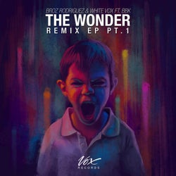 The Wonder Remix EP 1
