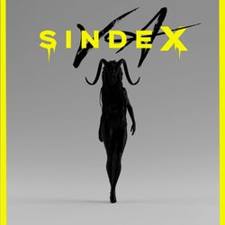 SINDEX VA 001 2/2