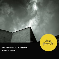 Synthetic Vision