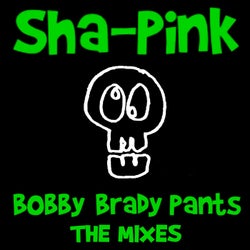 Bobby Brady Pants (The Mixes)