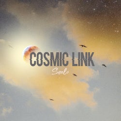 Cosmic Link