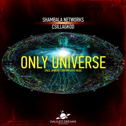 Only Universe