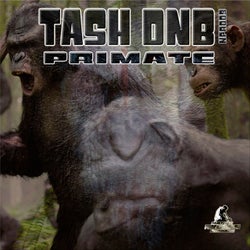 Primate