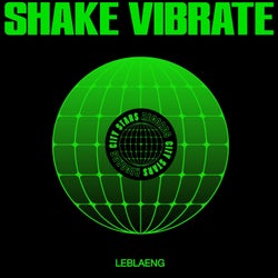 Shake Vibrate (Instrumental)