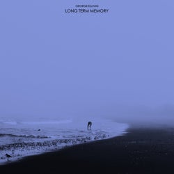 Long Term Memory