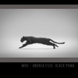 Black Puma