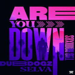Are You Down (The Extended Remixes)