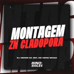 Montagem Zn Cladopóra