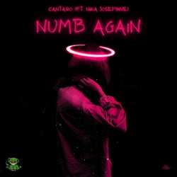 Numb Again (feat. Nika Josephine)