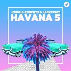 Joshua's Havana 5 Chart
