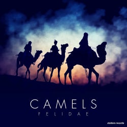 Camels Selection June 2017