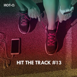 Hit The Track, Vol. 13