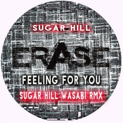 Feeling For You ( Sugar Hill and Wasabi Rmx)