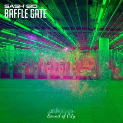 Baffle Gate