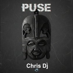 Puse